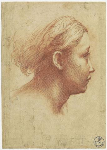 Francesco Mazzola detto il Parmigianino, Testa di giovane donna di profilo - Pietra rossa, carta - Firenze, Gabinetto Disegni e Stampe degli Uffizi
