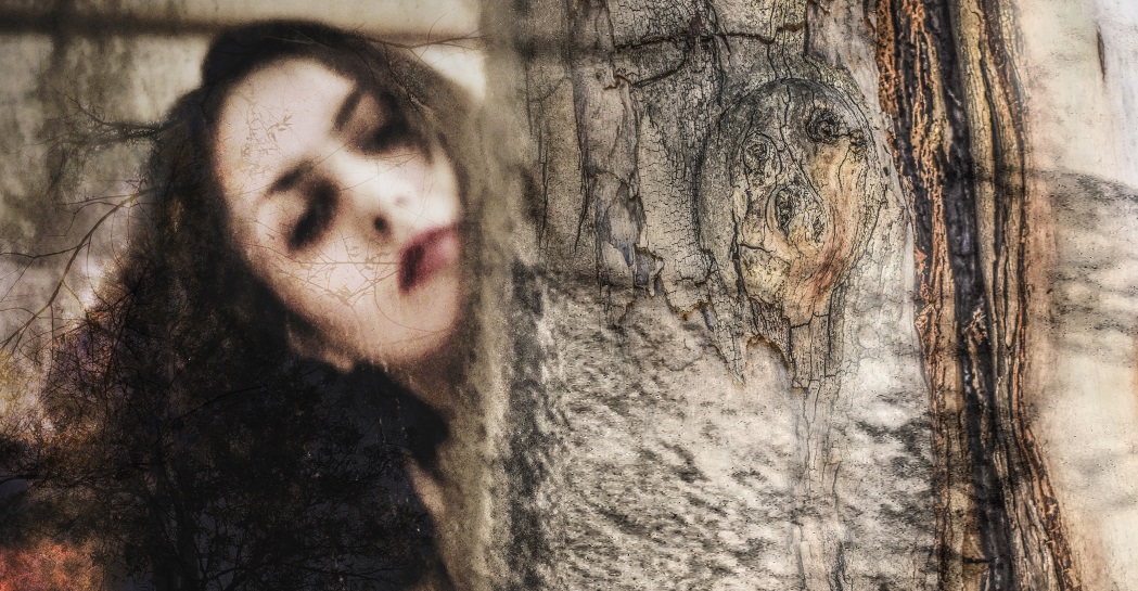 Dall'opera NINALBERO, estetizzazione grafica di Vinz Notaro copyright Nina Maroccolo Dall'opera NINALBERO, estetizzazione grafica di Vinz Notaro copyright Nina Maroccolo