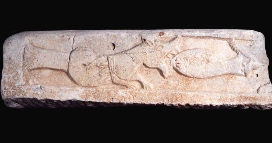 Museo di Roma_ Lapidario Architrave con mostro marino Museo di Roma_ Lapidario Architrave con mostro marino