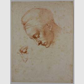 Michelangelo Buonarroti, Studi per la testa della ‘Leda’