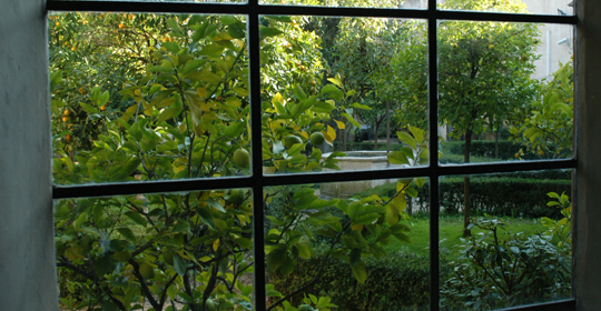 Dall'interno del museo