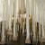 Ernesto Neto/MACRO, Mentre niente accade/ While nothing happens, 2008, Lycra, legno, spezie, sabbia, Foto: Giorgio Benni, Copyright: Ernesto Neto