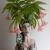 Maria Cristina Crespo, Vaso-ritratto della danzatrice Olga Koklova, ceramica modellata e dipinta, a più cotture