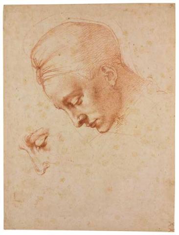 "Sez.VII - Amore celeste, amore terreno" Michelangelo: Studi per la testa della “Leda”, 1530 circa