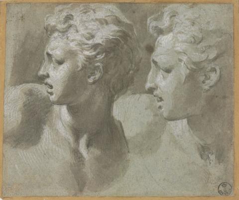 Francesco Mazzola detto il Parmigianino, Due studi della stessa testa di un giovane di profilo (dal Laocoonte) - Pennello e inchiostro diluito, biacca (carbonato basico di piombo), carboncino, parziale puntinatura (sulla figura a sinistra), carta cerulea - Firenze, Gabinetto Disegni e Stampe degli Uffizi